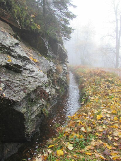 Der Graben begleitet weiter unseren Weg.