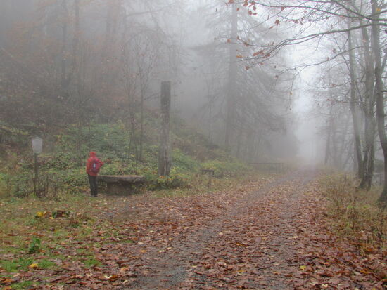Entlang des Weges sind überall Hinweisschilder die Auskunft zum Bau des Grabens und des Bergbaus geben.