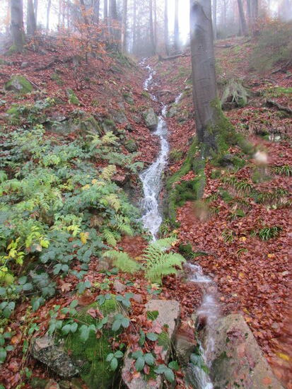 Kleine Bäche die den Berg hinunter strömen.