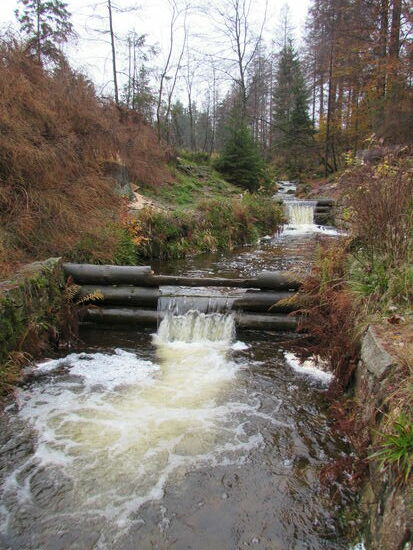 Weiter geht`s der Oder entlang.