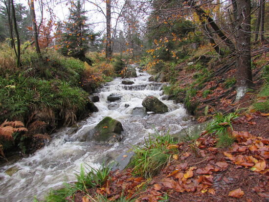 Auch wenn das Wetter heute eher ungemütlich ist, so hat es auch seine schönen Seiten.