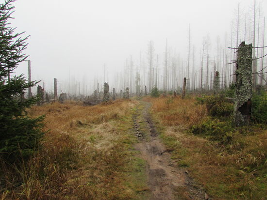 So geht es noch eine Weile weiter, ehe wir nach 10km wieder am Parkplatz sind.