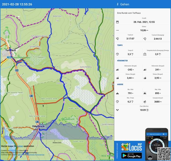 Das war der heutige Weg - vom Torfhaus Richtung Quitschenberg und in einer Rundwanderung Richtung Düstere Tanne