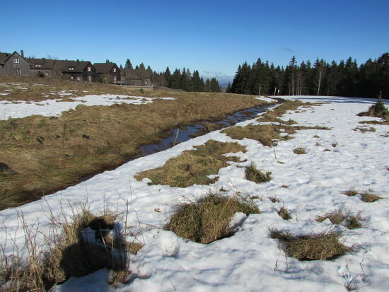 Im Hintergrund die Ferienhäuser die zum Torfhaus Resort gehören. Sehr zu unserer Freude liegt sogar noch Schnee.