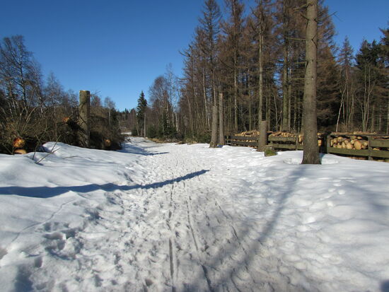 Ein kleines Stück geht es parallel zur Straße