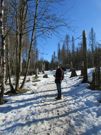 Leicht bergan wandern wir weiter und genießen das fantastische Wetter 