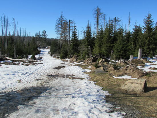 Der Schnee war in sonniger Lage zwar schon angetaut, aber es ließ sich trotzdem noch recht gut gehen.