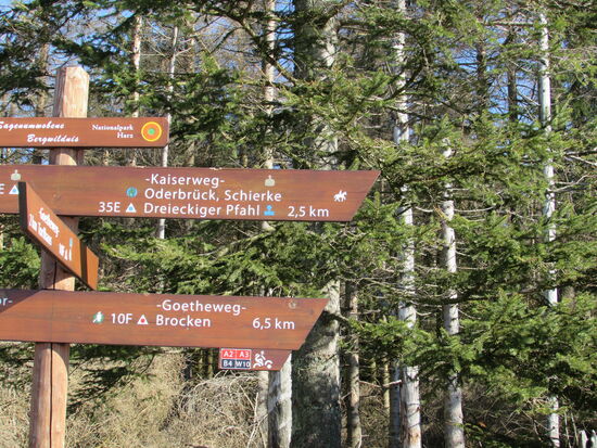 Wir folgen weiter dem Goetheweg und eigentlich sollte auch die erste Stempelstelle nicht mehr weit sein 