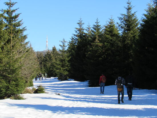 Dann sehen wir tatsächlich auch noch andere Wanderer