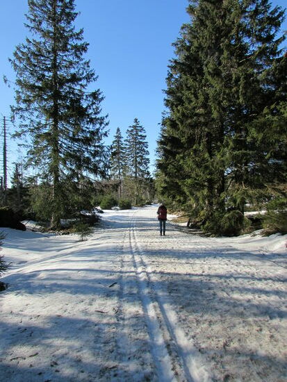 Auf dem weiterführenden Weg ist sogar eine Loipe gespurt. Während es bis jetzt fast immer leicht bergauf ging, geht es nun sacht bergab.