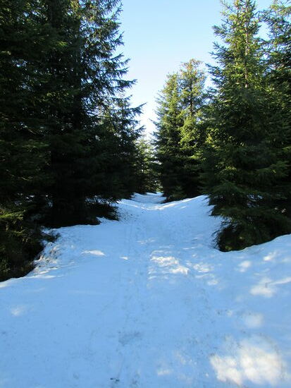 Auf einem schmalen Pfad geht es durch tieferen Schnee weiter. Das macht es dann doch anstrengend und wir müssen aufpassen nicht tief einzusacken. 
Die im Schnee versunkene Landschaft ist allerdings wunderschön.