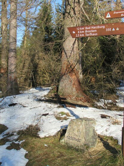 Schließlich stoßen wir auf den Kaiserweg und es sind nur noch 2,5km zurück zum Torfhaus. Von hier sind Hin- und Rückweg identisch.