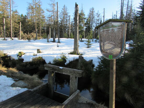 Wir sind wieder am Graben, der uns fast bis zum Ende des Weges begleitet.
