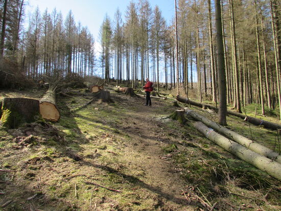 Es sind zwar nur 800m, aber die haben es in sich. Es geht steil bergauf.