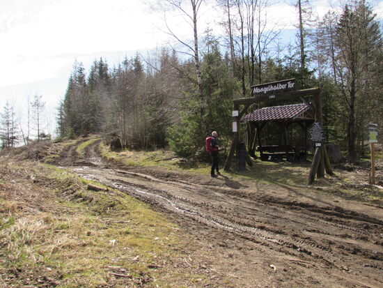 Die Wege waren zum Teil sehr matschig, da war gutes Schuhwerk gefragt. Aber wir haben strahlend blauen Himmel und angenehme 18- 20Grad - da macht das Wandern einfach nur Spaß.