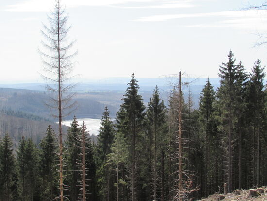 Da unten ist der Stausee