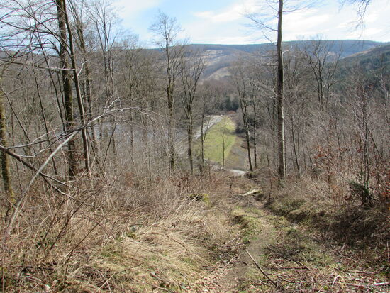 Den restlichen Weg kann man kaum als solchen erkennen. Doch vor uns liegt bereits wieder der Straßendamm zwischen Vorbecken und dem Stausee.