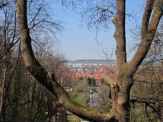 Zum Schloß gelangt man auf einem befestigten Weg. Auf halber Höhe ein Blick auf die Stadt.