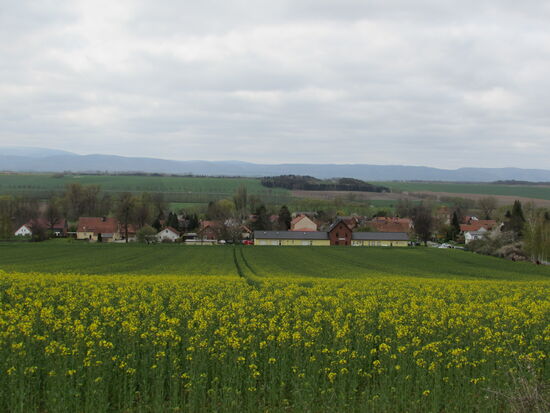 Oben angekommen, blicken wir zurück auf Hoppenstedt.