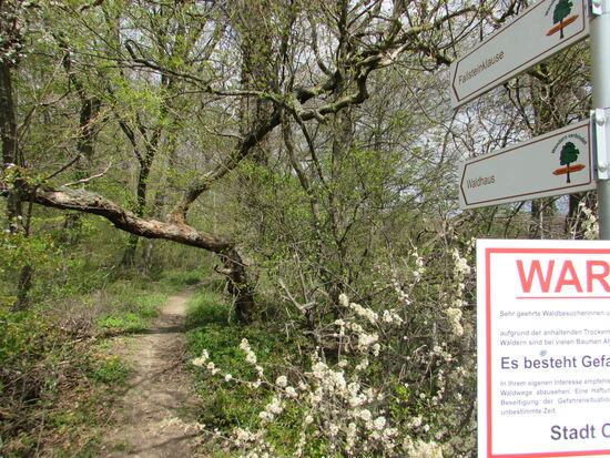 Die Falkensteinklause haben wir umrundet, denn zur Zeit findet dort ohnehin keine Bewirtung statt.