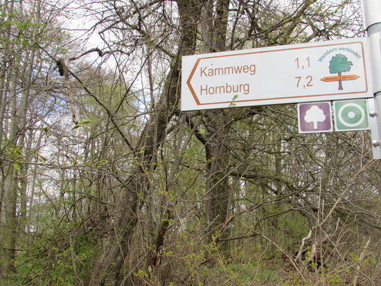 Wir folgen jetzt dem Kammweg