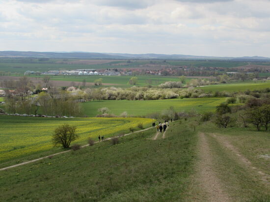 Inzwischen sind hier einige Spaziergänger unterwegs, die einfach nur das Adonisröschen bewundern wollen.