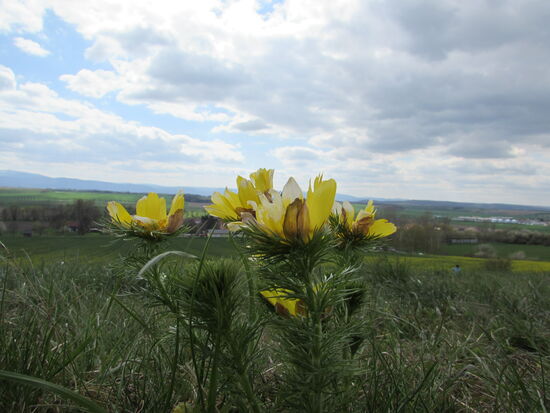 Auch wir halten es noch einmal im Bild fest 