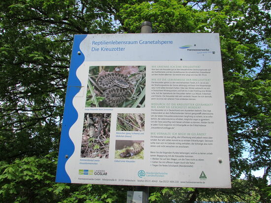 ..also wir haben keine Kreuzotter gesehen...