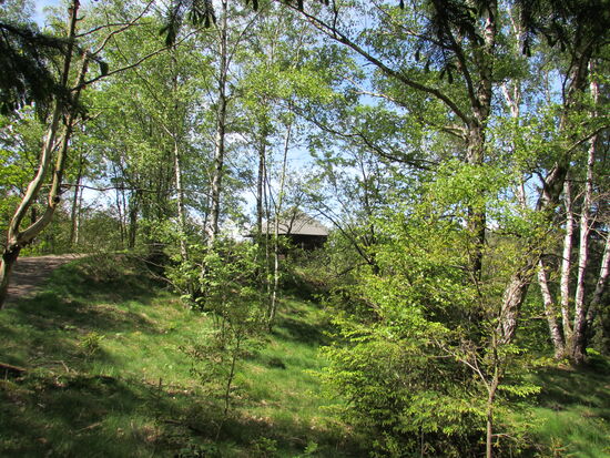 Wenig später entdecken wir die Stempelstelle ...
Dort hinten in dem Häuschen ist die HW110 (Harzer Wandernadel 110). 
Ein kleiner Trampelpfad führt rechterhand des Hauptweges dort hin.