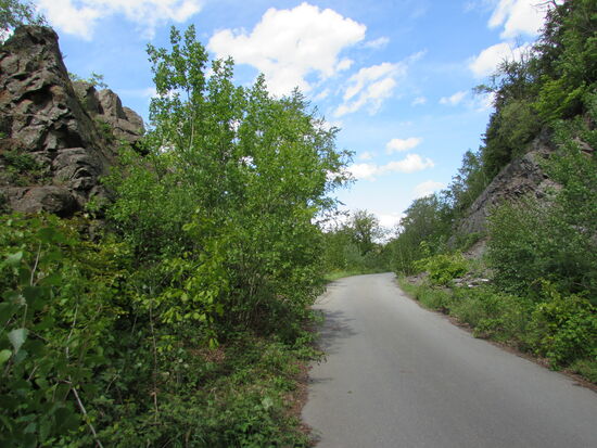 Wir marschieren ohne jegliche Schwierigkeit im leichten auf und ab um den Stausee.