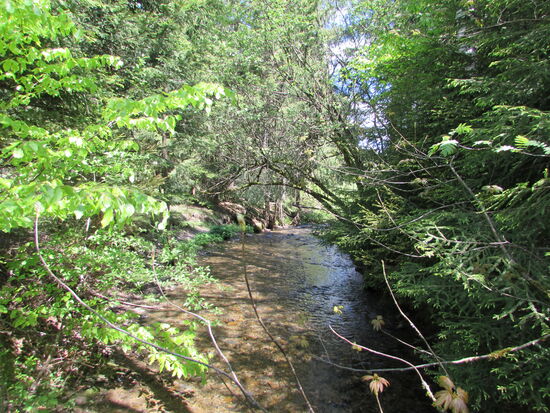 Schließlich queren wir die Grane, die hier als kleines Flüsschen dahin plätschert.