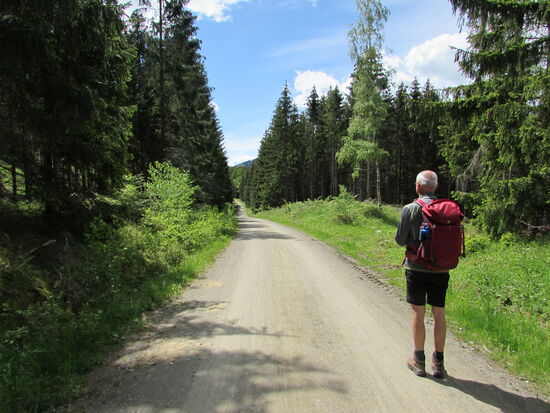 Der Wanderweg wechselt nun von asphaltiert in eine Schotterpiste.