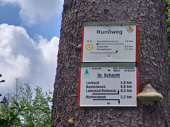 Hier startet nun die Rundwanderung auf einer Höhe von ca. 350m.