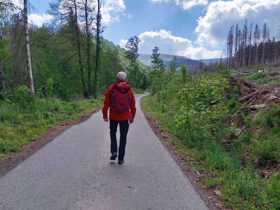 Zunächst auf einem asphaltierten Weg und nur leicht bergauf.