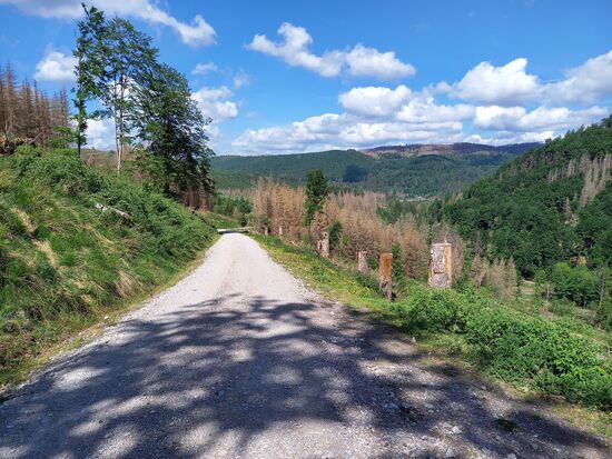 Es dauert nicht lang und wir gehen auf einer Schotterpiste. Die Sicht ist super 