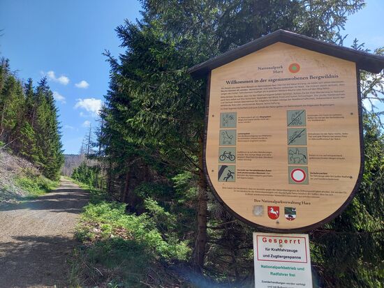 Aber wir Wander weiter durch den Nationalpark Harz.