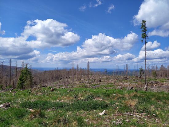Zwischendurch ein Blick in die Ferne
