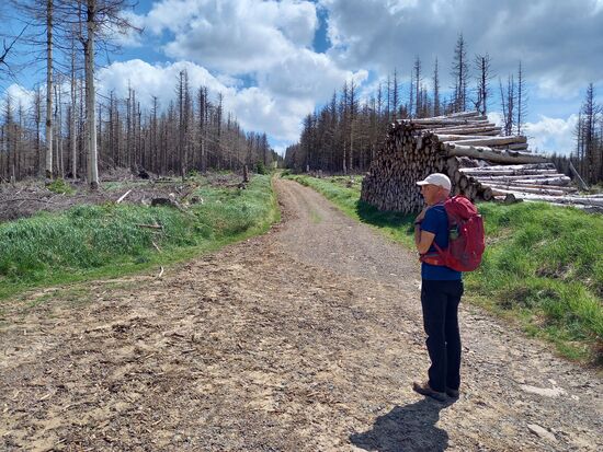 Aber 700m steiler Anstieg