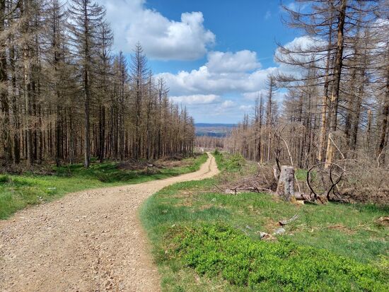 Diesen Weg sind wir gekommen