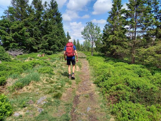 Der Weg ist steinig  aber Landschaftlich reizvoll.