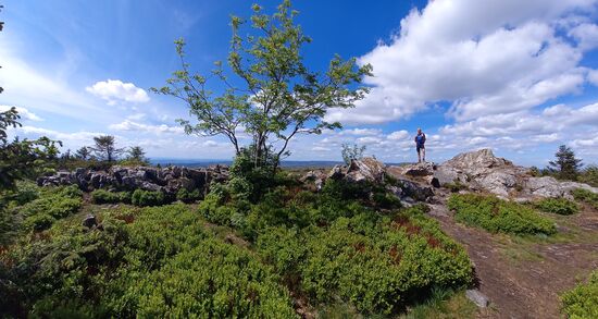 Ein paar Schritte weiter bietet sich ein weiteres Panorama.
