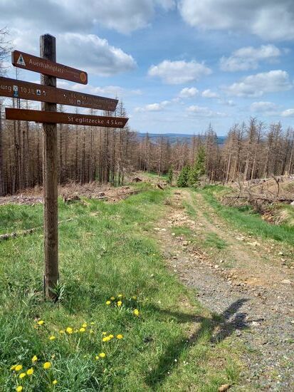 Es geht weiter bergab und man muss achtsam sein, es ist steinig.