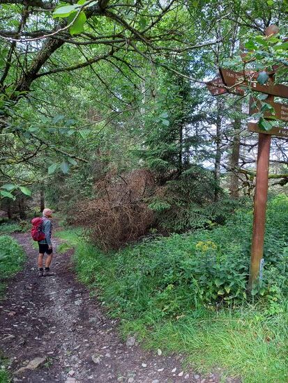Wenig später geht es auf diesem schmalen Pfad weiter.