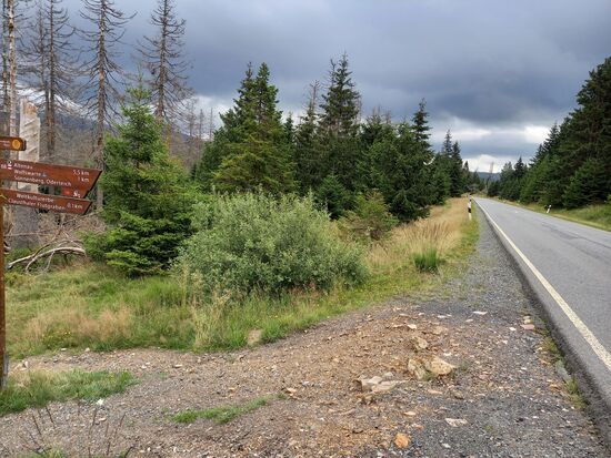 Dann kreuzen wir die Straße