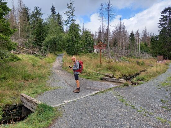 Weiter geht's zunächst durch den Wald