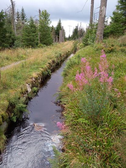 Dann am Graben entlang