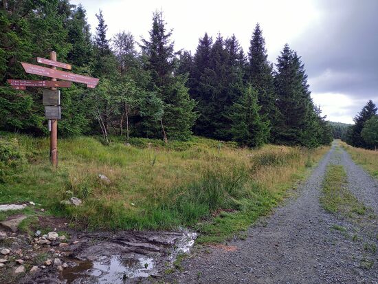 Nach einer kurzen Fotoserie geht es auch schon weiter.