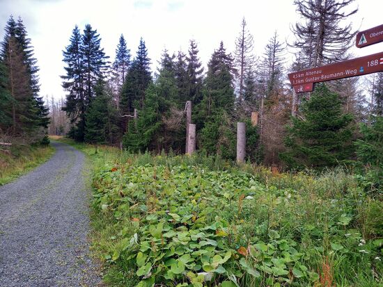 Der Weg ist nun gut ausgebaut, was ich persönlich eher langweilig finde.