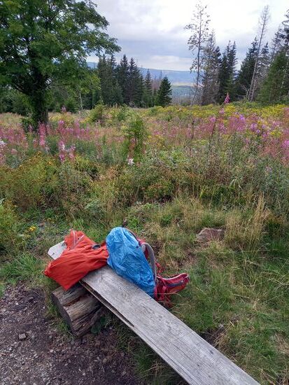 Nach gut 1,5h Fussmarsch verspüren wir Appetit,  Zeit für eine kurze Pause.