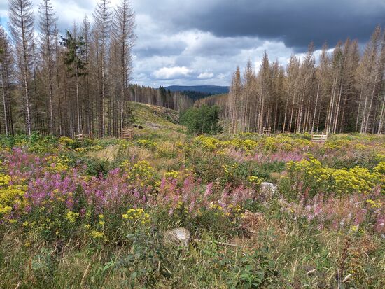 Ganz entspannt gehen wir weiter 